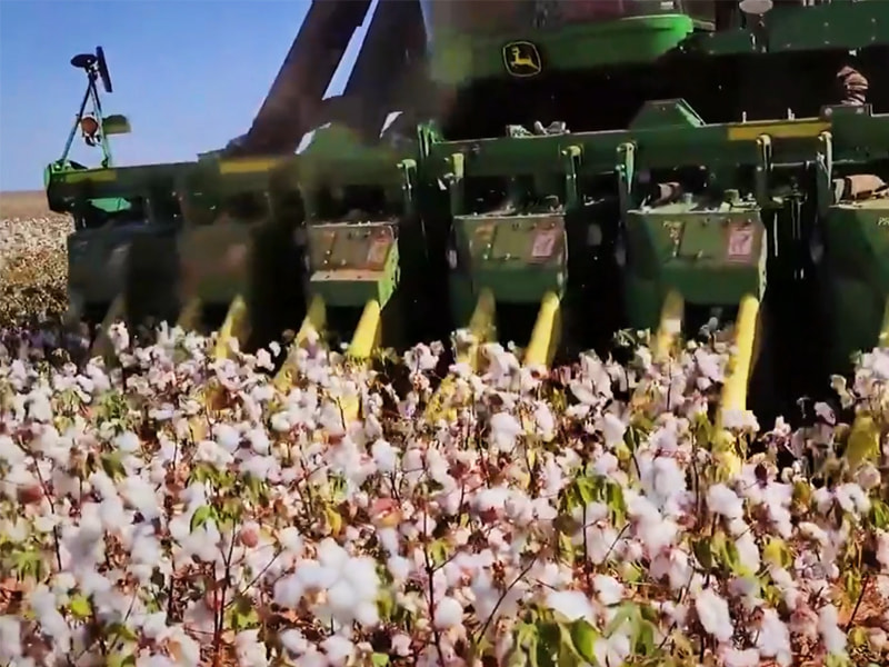 Cotton picker