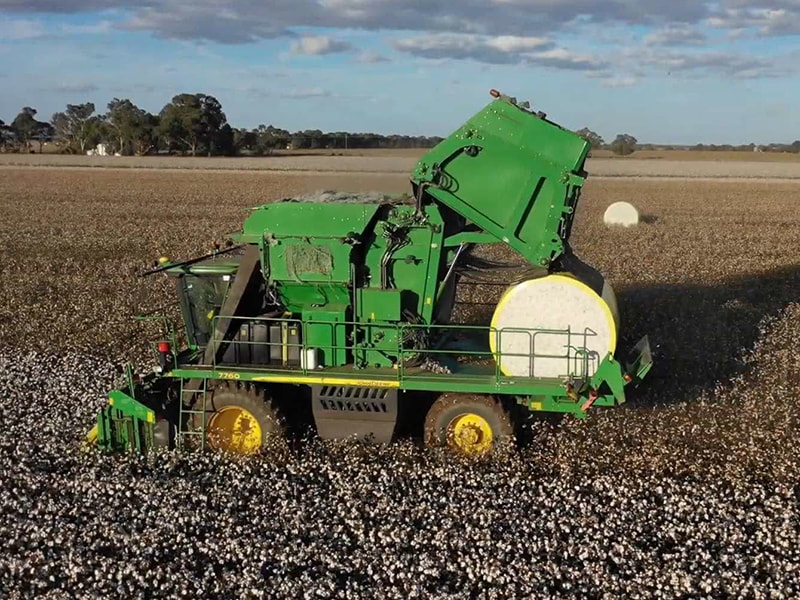 Cotton picker