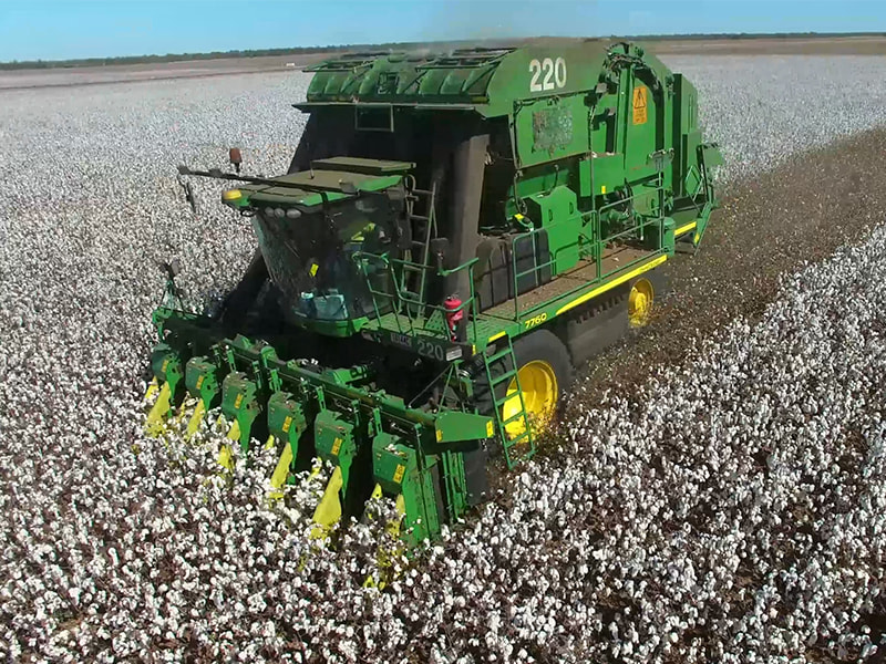 Cotton picker