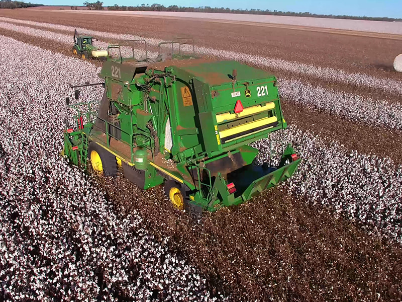 Cotton picker