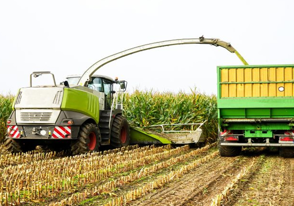 Harvesting and picking